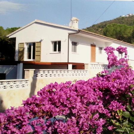 Villa Felices Juntos Platja d'Aro Luaran gambar